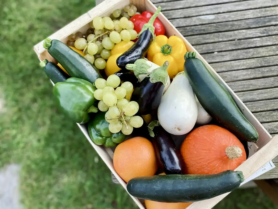 A crate of freshly picked fruit and vegetables